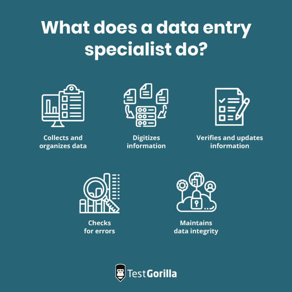 A data entry specialist collects and organizes data, digitizes information, verifies and updates information, checks for errors, and maintains data integrity.